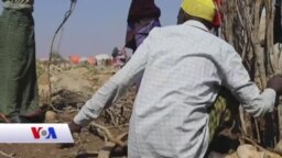 Qubanaha Maanta, Jun 18, 2023