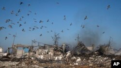 Burung terbang di atas asap yang mengepul dari reruntuhan pertanian pribadi dan lumbung yang masih terbakar setelah serangan roket Rusia baru-baru ini di Desa Kiseliovka dekat Kherson, Ukraina, Jumat, 10 November 2023. (Foto: AP/Efrem Lukatsky)