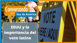 Los hispanos y su impacto en las elecciones en EEUU