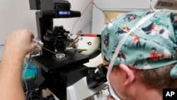 Laboratorista coloca pequeñas placas de Petri que contienen varios embriones en un soporte de microsopa utilizadas para extraer células de cada embrión para probar su viabilidad en el Instituto de Fertilidad Aspire Houston, el 27 de febrero de 2024, en Houston.