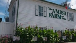 Los Amish de Pensilvania: una comunidad austera se abre paso en EEUU 