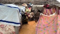 Doctors Without Borders calls for emergency aid for Darfur refugee camp