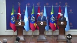 Turkey boosts Africa influence with Ethiopia-Somalia mediation role 