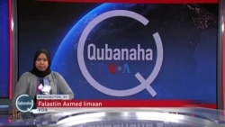 Maxkamadda Gobolka Banaadir oo dil ku xukuntay Sayid Cali 