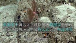 美国关于偏远太平洋保护区的提议惹争议 商业利益与环保主义在公众评论中起冲突