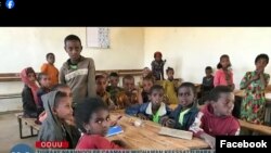 Tigraay Naannoolee Caamaan Miidhaman Keessatti Bara Kuma 200 Ol Tahan Nyaata Dhabuun Ka Barnoota Dhaabuurra Gahan Tahuun Himame