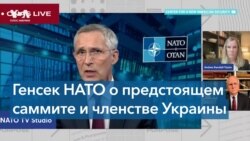 Постпред США в НАТО: «Наши обязательства по поддержанию Украины незыблемы» 