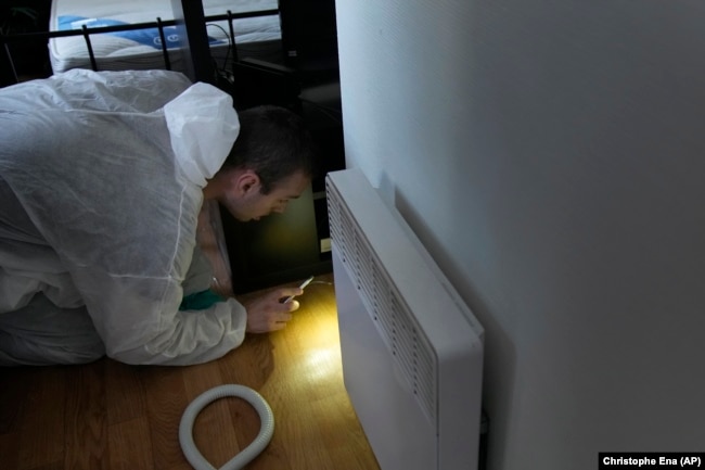 Pest control technician Lucas Pradalier looks for bedbugs in a Paris apartment, Wednesday, Oct. 4, 2023. (AP Photo/Christophe Ena)