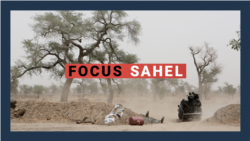Focus Sahel, épisode 25 : l’impact du terrorisme sur la protection des forêts
