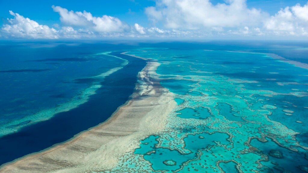 Study: Hottest Oceans in 400 Years Endanger Great Barrier Reef