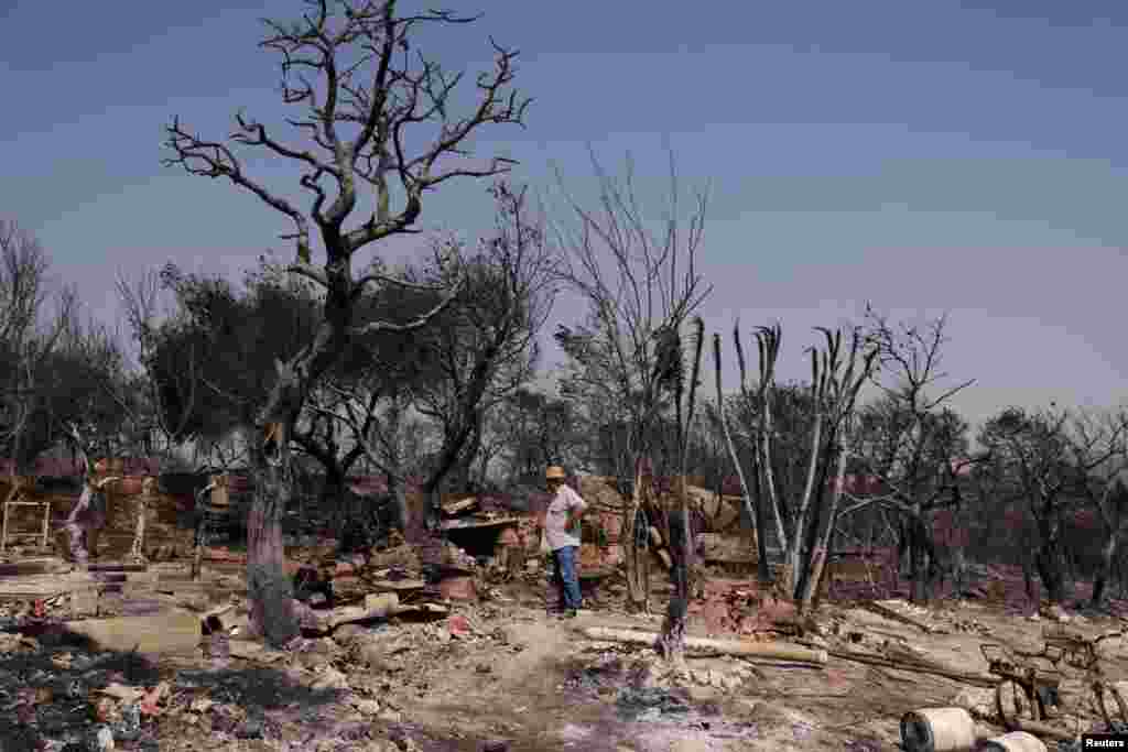 A person walks at the yard of a burnt house following a wildfire in Mandra, Greece.