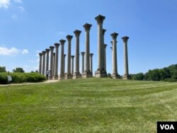 Corinthian columns that were part of the U.S. Capitol building from 1828 to 1958, in an open meadow at the U.S. National Arboretum in Washington, D.C., June 1, 2023.