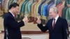 Analysis: Xi and Putin to Meet as Allies Despite Differences 