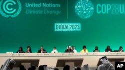 কপ২৮ জলবায়ু শীর্ষ সম্মেলনে পূর্ণাঙ্গ স্টক-গ্রহণ অধিবেশনে বক্তব্য রাখছেন কপ২৮-এর প্রেসিডেন্ট সুলতান আল-জাবের। দুবাই, সংযুক্ত আরব আমিরাত। ১১ ডিসেম্বর, ২০২৩।