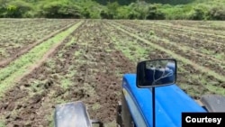 Productores agropecuarios trabajan la tierra en una zona ganadera de Venezuela. Archivo.