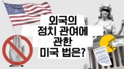 외국의 정치 관여에 관한 미국 법은?