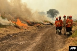 Petugas pemadam kebakaran berupaya mengatasi kebakaran hutan di lahan basah Pantanal dekat Porto Jofre, Negara Bagian Mato Grosso, Brazil, 13 November 2023. (Rogerio FLORENTINO / AFP)