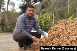 Pappu Kumar, who returned to his village when the COVID-19 pandemic dried up livelihoods, has harvested his first crop of turmeric.