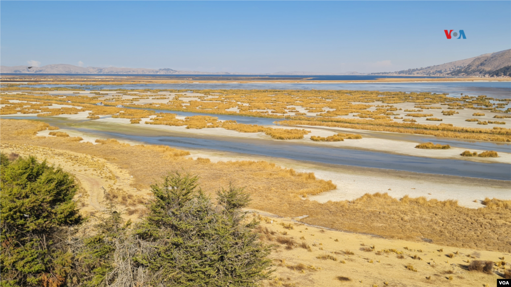 Toma del 29 de setiembre. El nivel del lago es menor y los totorales están secos.