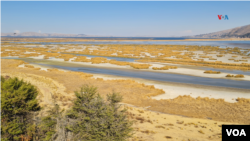 Esta imagen del Lago Titicaca corresponde al 29 de setiembre. El nivel del lago es menor y los totorales están secos.