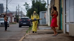 Quiz - South America Dengue Increase Brings Vaccination Drive