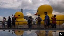 Anggota masyarakat memotret instalasi seni "Double Duck" seniman Belanda Florentijn Hofman di Pelabuhan Victoria, Hong Kong, Jumat, 9 Juni 2023. (AP/Louise Delmotte)