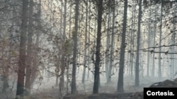 Los incendios en Ecuador cada vez ocurren con más frecuente. Foto: Cuenta oficial de la Secretaría Nacional de Gestión de Riesgos de Ecuador. 