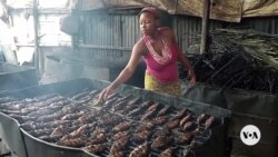 Republic of Congo’s Traditional Fish Smoking Threatens Forests