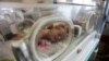 Évacués de Gaza, 29 bébés prématurés sont arrivés en Egypte