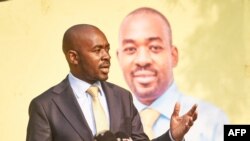 Vimbove mutungamiri weCCC, VaNelson Chamisa, avo vakambosiya zvematongerwo enyika.