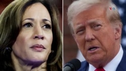 Trump y Harris recorren estados indecisos durante feriado en EEUU