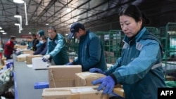 Workers sort packages for delivery ahead of the Singles Day shopping festival at a logistics center in Zouping, in China's eastern Shandong province, on Nov. 10, 2023. 