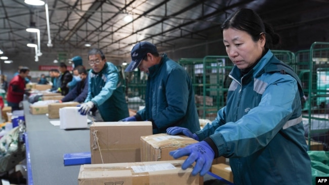 Workers sort packages for delivery ahead of the Singles Day shopping festival at a logistics center in Zouping, in China's eastern Shandong province, on Nov. 10, 2023.