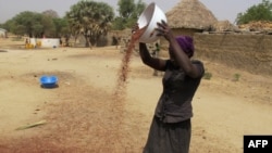 FILE - A photo taken on February 23, 2017 shows a woman spreading grain in front of her house in Koza, in the extreme north of Cameroon. 