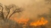 Teksas eyaletinin kuzeyinde kontrolden çıkarak yayılan ve eyalet tarihinin ikinci en büyük yangını haline gelen orman yangınları, komşu eyalet Oklahoma'ya da sıçradı. 