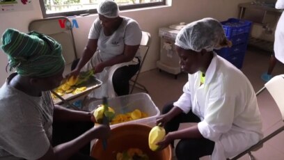 Kiat Petani Menekan Kerugian Pasca Panen di Ghana
