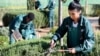 Morocco's First Gardening School Trains Marginalized Youth