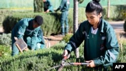 Youths attend a practical course at Bouregreg Med-O-Med, Morocco's first gardening school, in the coastal city of Sale, on November 15, 2023. 