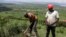FILE - People, part of the Nakivale Green Environment Association, plant trees inside Nakivale Refugee Settlement in Mbarara, Uganda, on Dec. 5, 2023. Refugees are helping to plant thousands of seedlings in hopes of reforesting the area. 