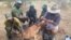 Wildlife poaching in Zimbabwe