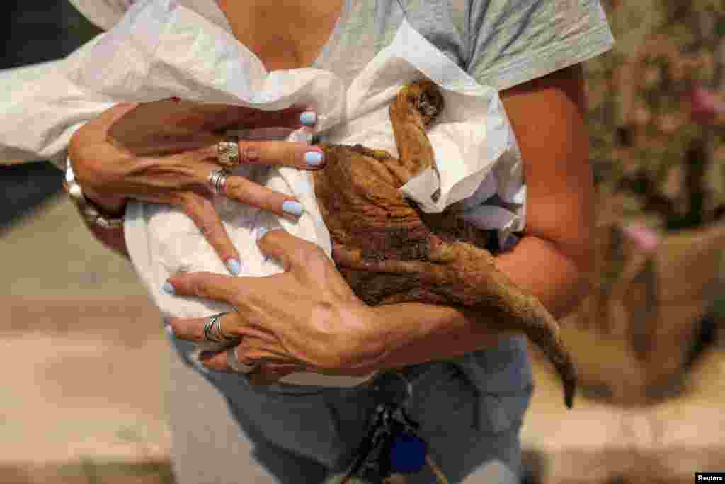 A woman holds an injured cat as a wildfire burns in Rapentosa, Greece.