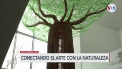 Festival internacional combina el arte con la naturaleza 