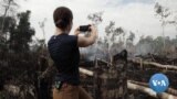 Para os jornalistas, a Amazónia é rica em histórias - e em perigo