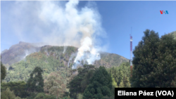 Vista del Cerro El Cable, uno de los sectores donde se han presentado incendios forestales en Bogotá, Colombia.