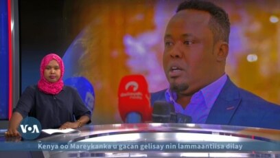 Somaliland oo xirtay xildhibaan Maxamed Abiib