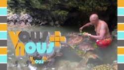 Vous et Nous : nager avec les tortues de Zanzibar