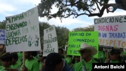 Muchos de los indocumentados consideran que con la nueva ley que criminaliza la migración irregular en Florida, la comunidad migrante sin papeles quedará "sin ningún amparo".