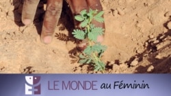 Le Monde au Féminin: la protection de l’environnement en Afrique