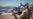 South Korea, US Conduct Firing Drills Near North Korea Border