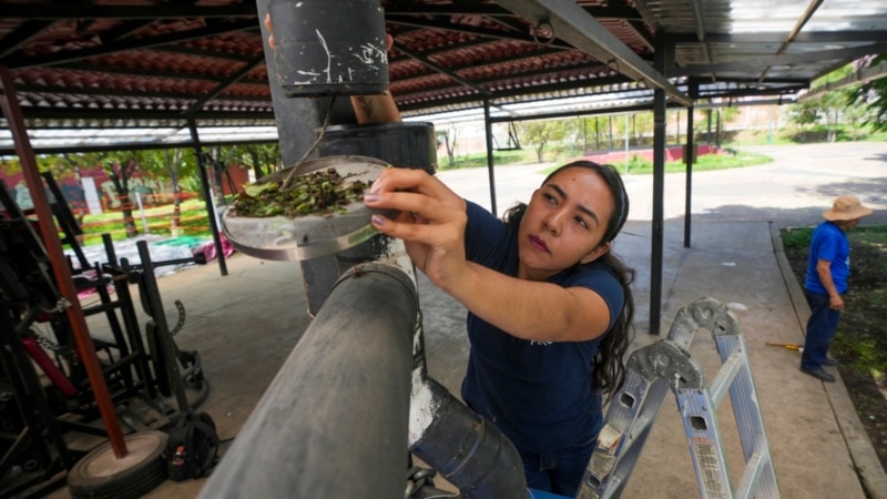 Mexico City’s women water harvesters help make up for drought